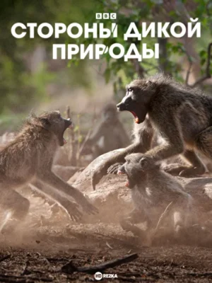 Стороны дикой природы (2023)
