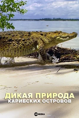 Дикая природа Карибских островов (2018)