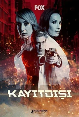 Не для записи (2017)